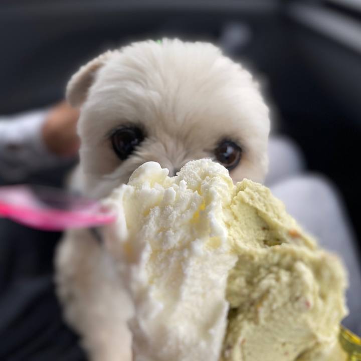 Ac1f20c8 f3a2 44a7 b021 29760a495600 1592124282985