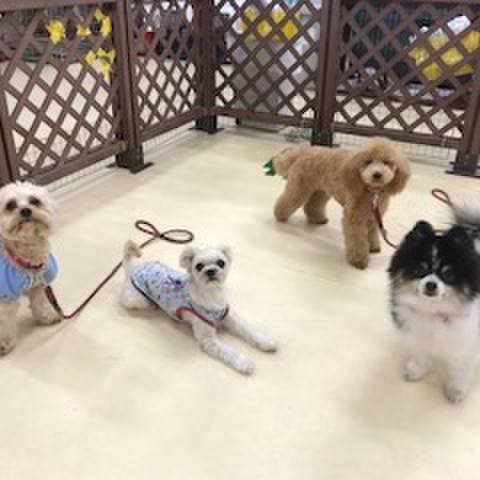 Ac1f27a6 d1dd 49ff bca6 a791adbb50e8 1520856168937