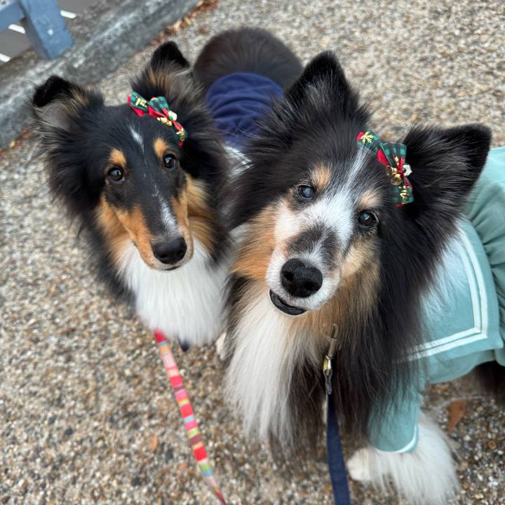 Ac1f2867 ec25 41e8 be5a 83d86b2bb66b 1764860570650