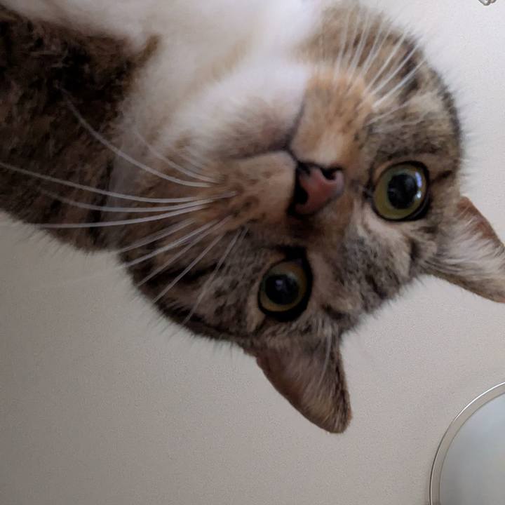 Ac1f34d7 4237 43a3 9bbf 418b424e6742 1766006304433