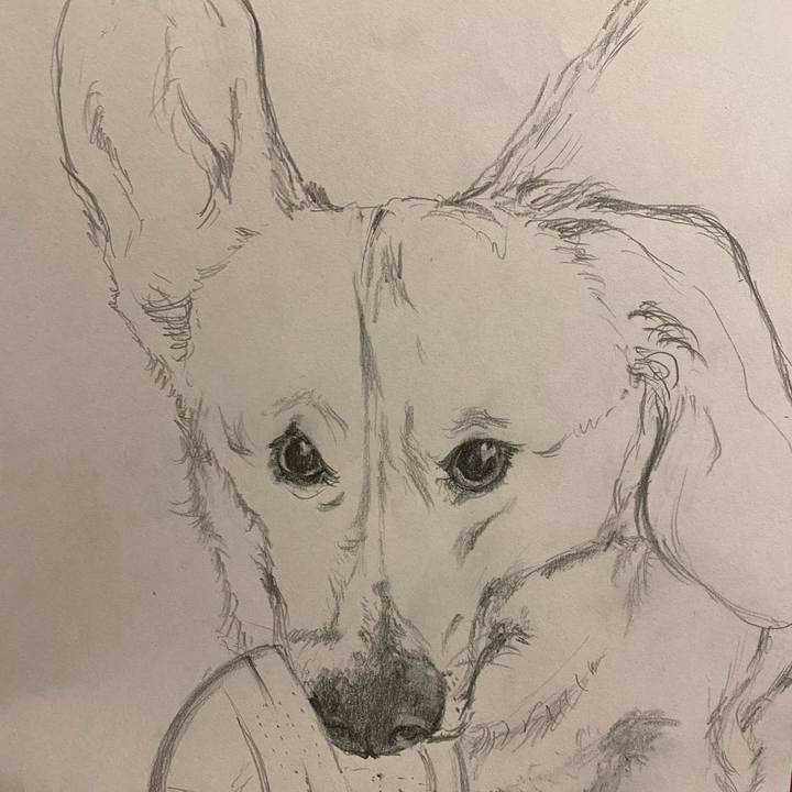 Ac1f557e b29a 4d2e 96c1 8cc337eb8b3b 1614169952253