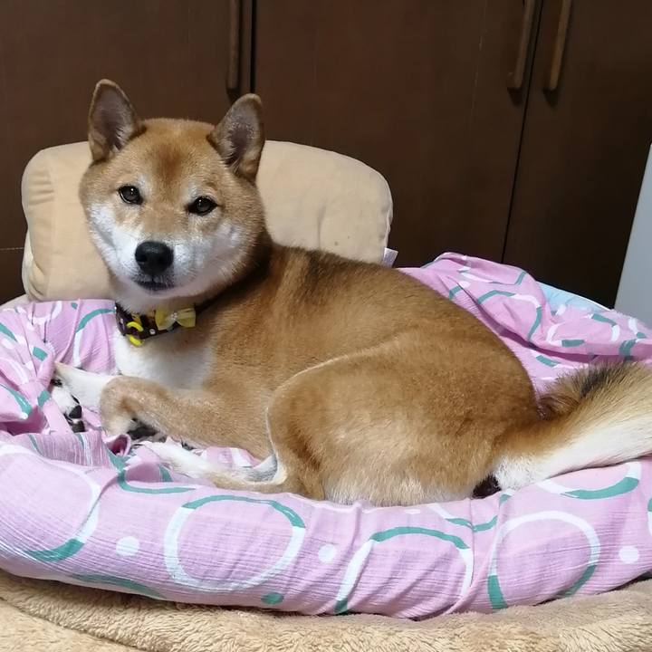 Ac1f7242 2588 4633 a90c bd2e05979341 1599121145501