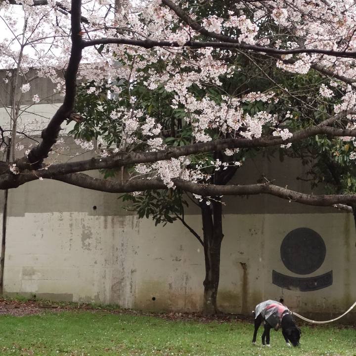 Ac1f72e1 acad 4420 9a19 6ae593661983 1648945493410