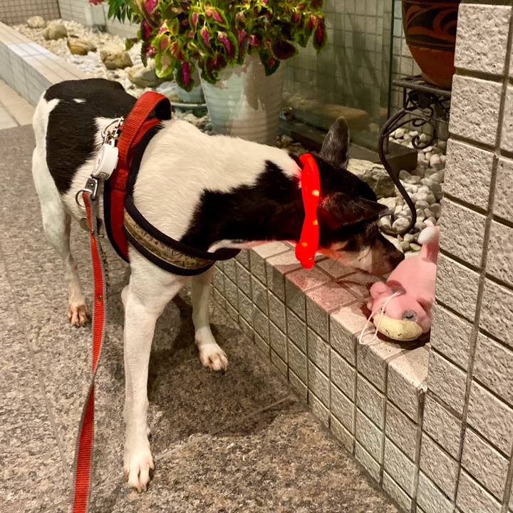 Ac1fa073 33a1 4b9b 9df7 22fe00a5ea9a 1600479735475