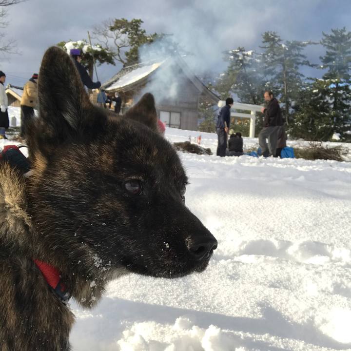 Ac1fb0c1 8e84 4df7 999e 48cf0f6490ff 1515888444908