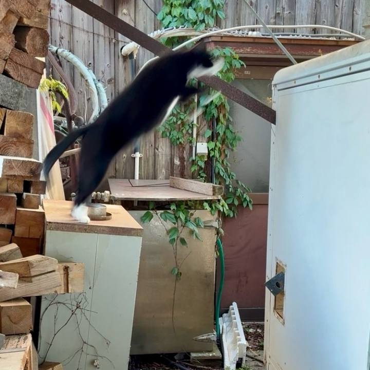 Ac1fd62e cb6e 4d40 ad70 01e43fcae6f2 1746172595213