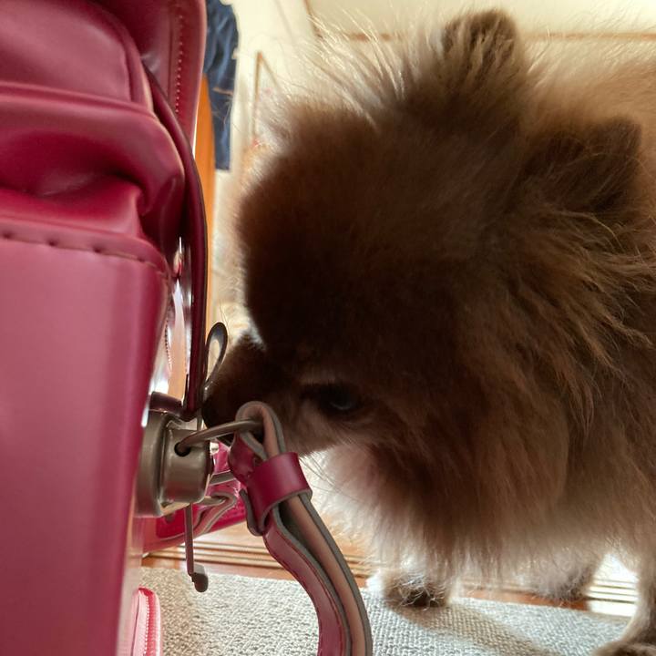 Ac1fdbd1 63f8 4251 a74b 42abdb22ad00 1698299259355