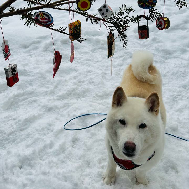 Ac1fea9e 24a8 4f7f 82cb f3e95873b983 1767147542870