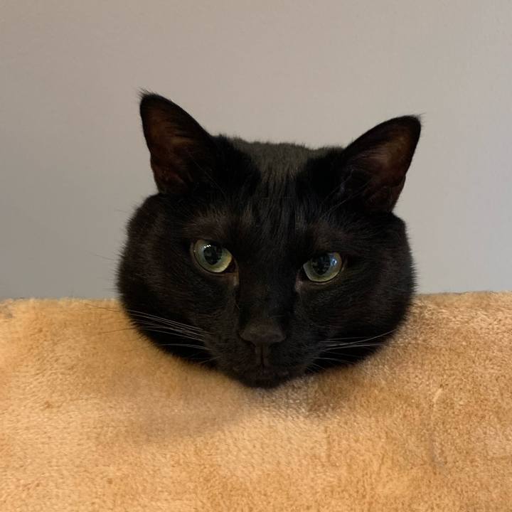 Ac1feaf9 d055 444e ab83 a9c474c96201 1687407702539