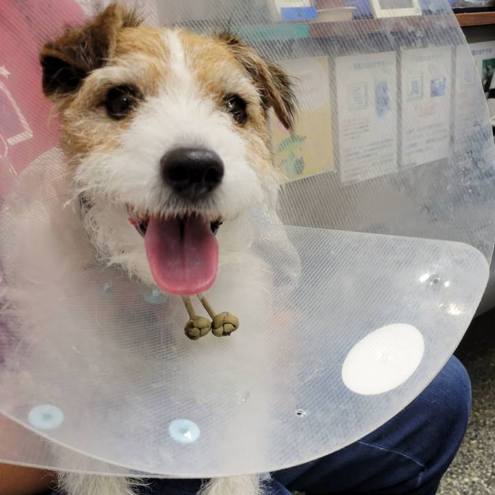 Ac1ff9db f1e9 4346 a109 29dbe93b90eb 1720696143019