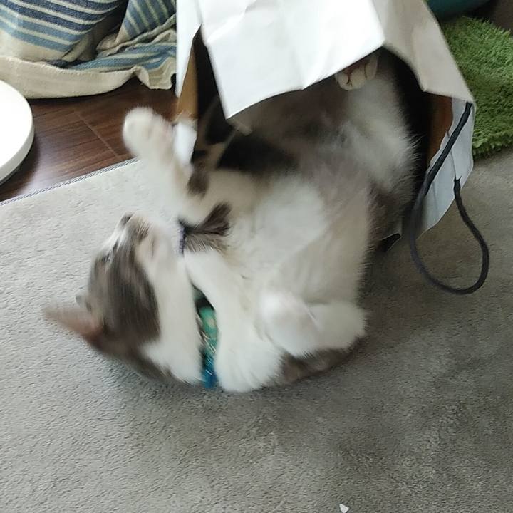 Ac20404c a247 4b6f 9756 8b82b80d7ef9 1593386625092