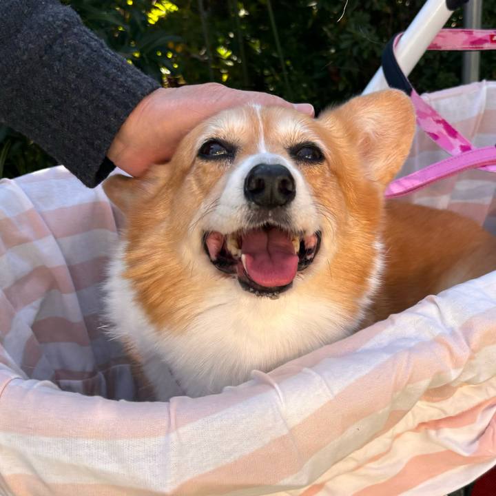 Ac2047f2 0edc 4048 8534 e57c10dcb398 1732420858189