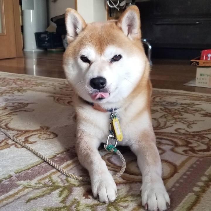 Ac2067b9 9f38 41c6 b9a3 6e0e33fe2e0e 1567667540780