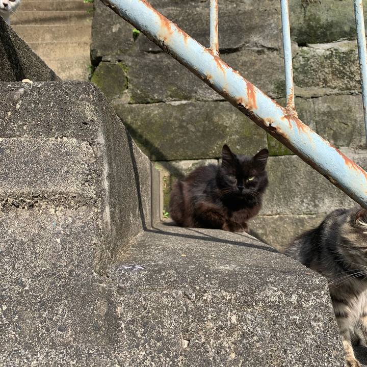 Ac20809a 4179 4215 b4ae e41f3bcb384f 1622287537302