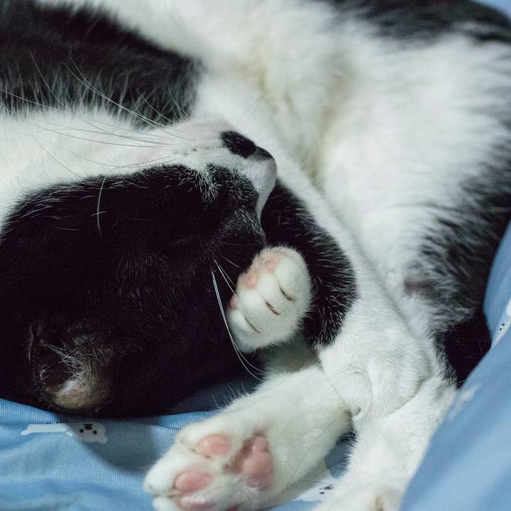 Ac210288 f8b1 41c7 b99a 1a56914b049d 1534287926728