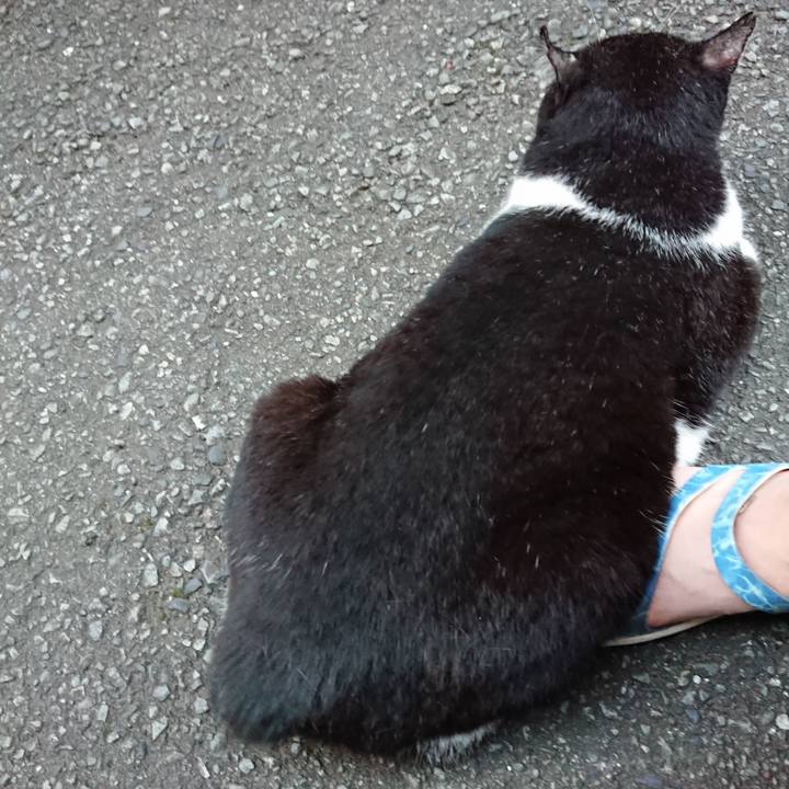 Ac21394a 4199 428b af1b 8efdccd108ec 1627291990011