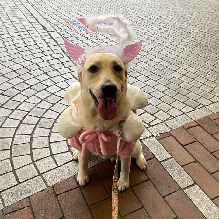 Ac215903 67e8 418b b2b5 7af322761e9b 1638279127141