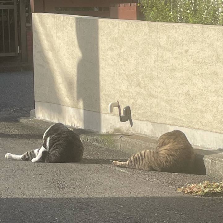 Ac21b556 f8c4 4fcd ba57 733d44056f65 1631077975128