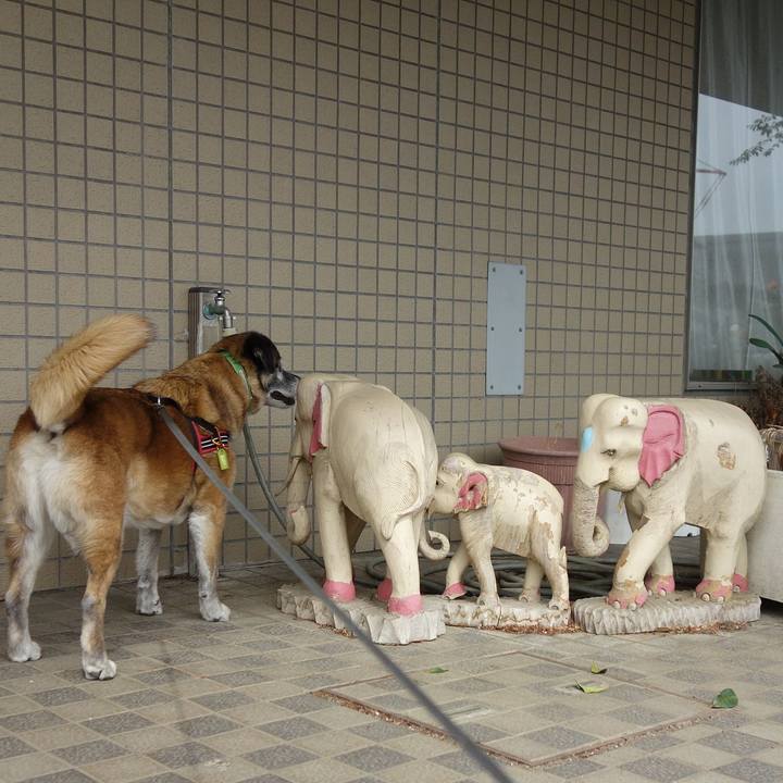 Ac21d609 f929 45c4 89ed a947b6b5b516 1557624374234