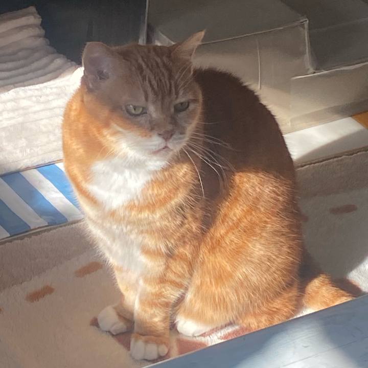 Ac21e09d 1ac6 4cd6 b657 b965a9121532 1736558798906