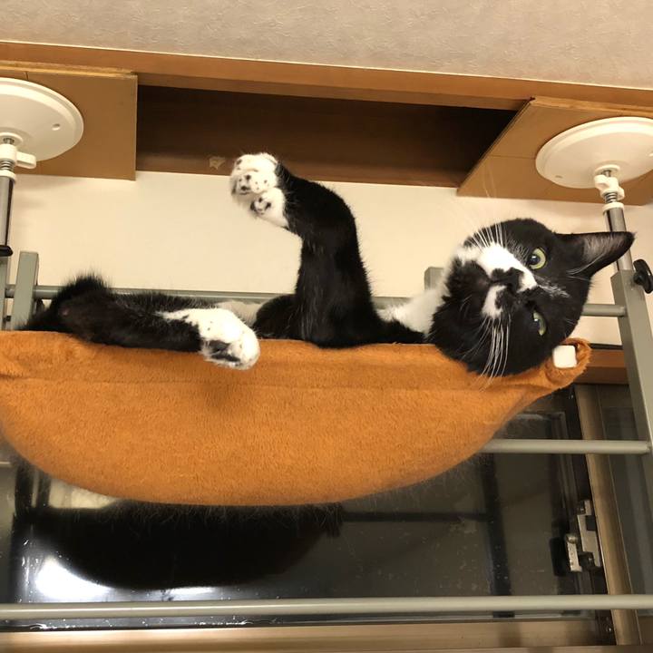 Ac225748 76c3 4ba3 a82f d51cd0e07da6 1585279338200