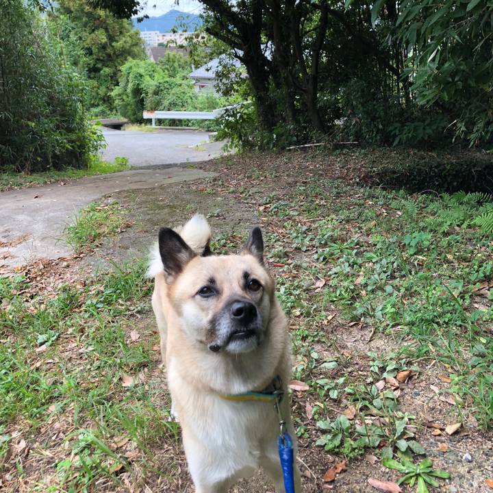 Ac2258b0 795e 4833 ab73 081e8b299369 1569053793323