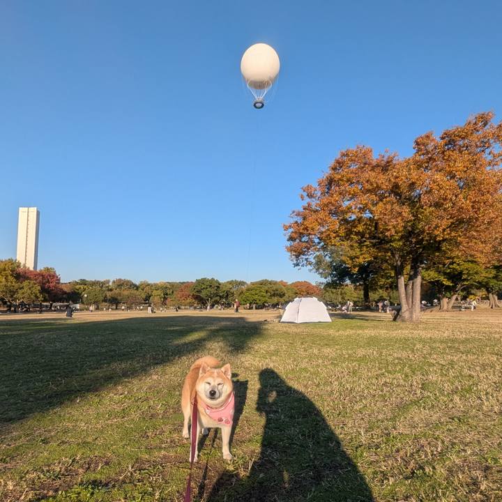 Ac226d11 41da 49d8 a916 0a72eab56109 1763297613746