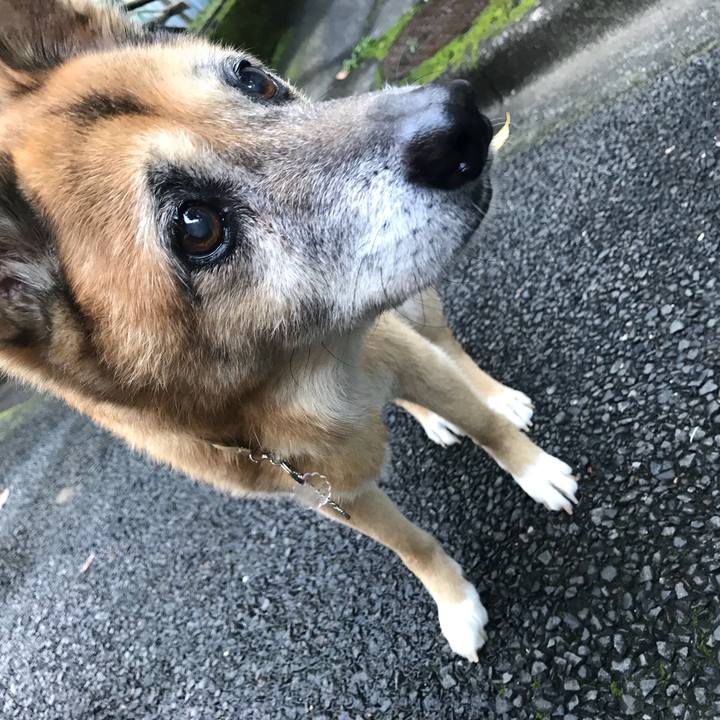 Ac227d49 f146 4ed0 954d 0f36650d7c4e 1540622128365