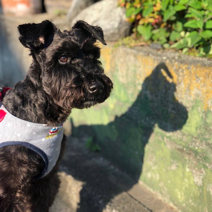 Ac229f3b 0493 4413 950e e9bf27615909 1621721382655