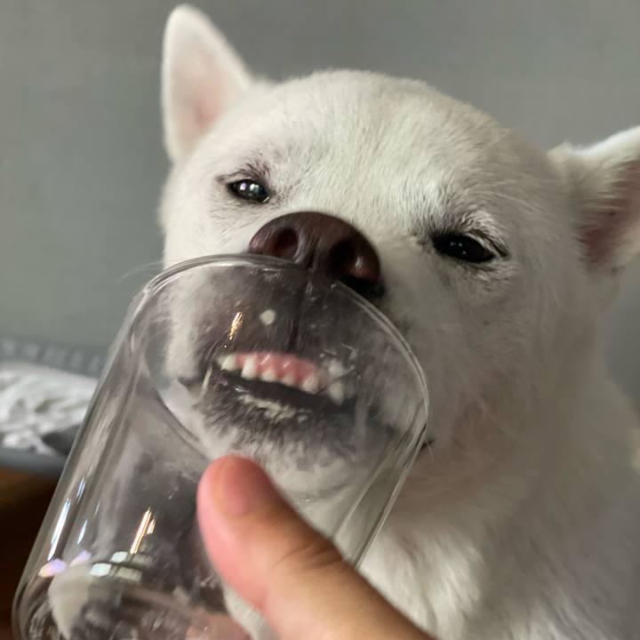 Ac22a40b 778e 4842 b256 cf978df9c66d 1689460904443