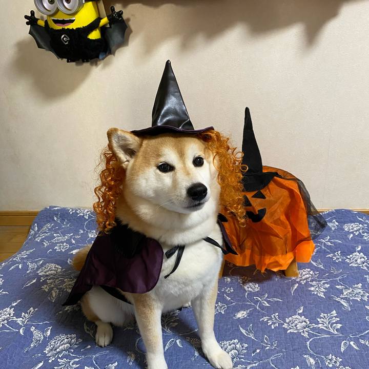 Ac22af19 d739 4406 9b6f a1ba8a653c60 1635556099976