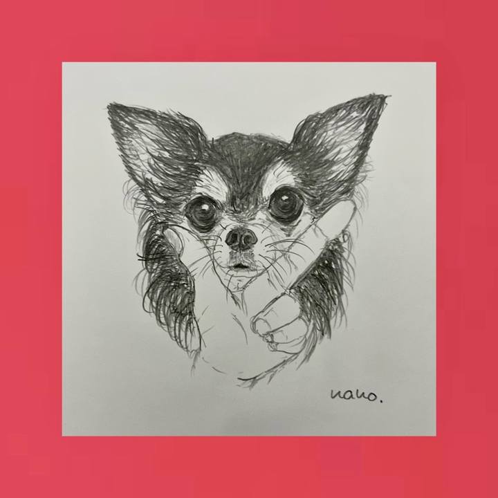 Ac22b401 2248 4d23 bd16 1cc7fded2191 1687125785374