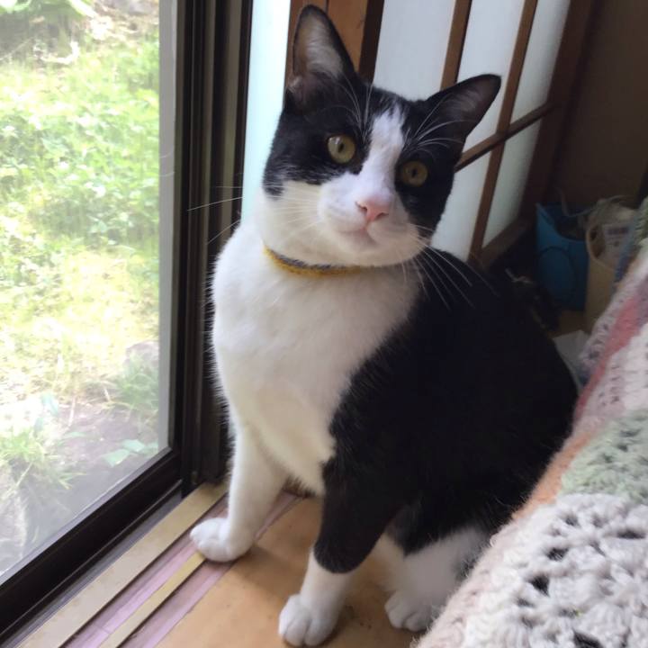 Ac22dff1 57f4 4be1 810b caf41eb6c790 1650082747230