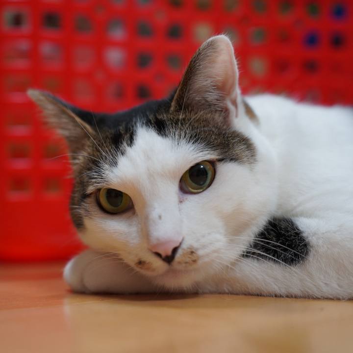 Ac22e0b6 8c2b 41b4 812b e6c0b3e30747 1730681211709