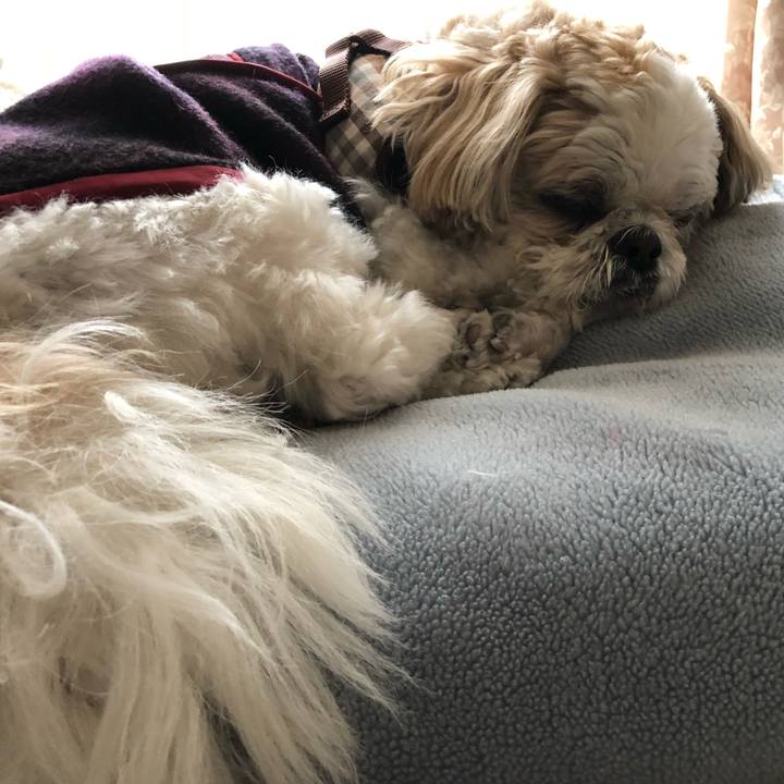 Ac22f3c3 26c7 42be 93de f013ab24f113 1520199590073