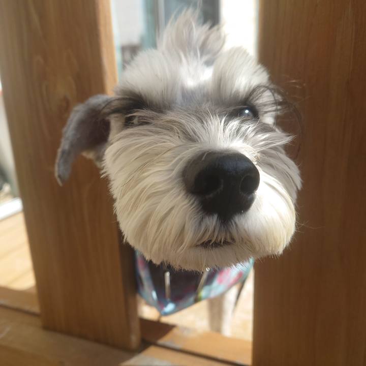 Ac2351c0 abab 4881 809b c004b2f01fca 1776987126012