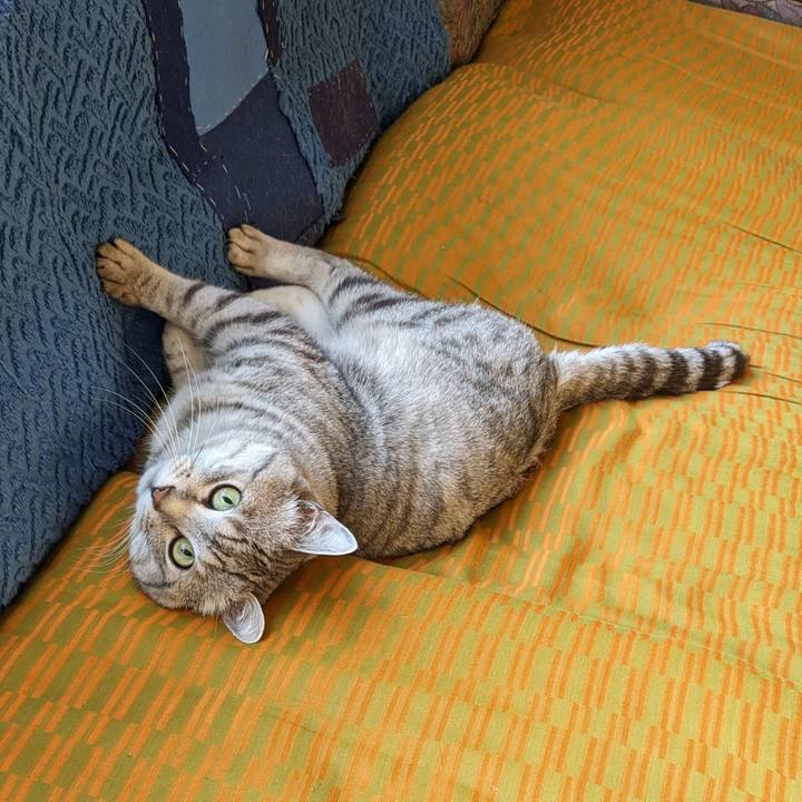 Ac23690d ee9e 4b7a be71 efd9efbfff88 1701816402884