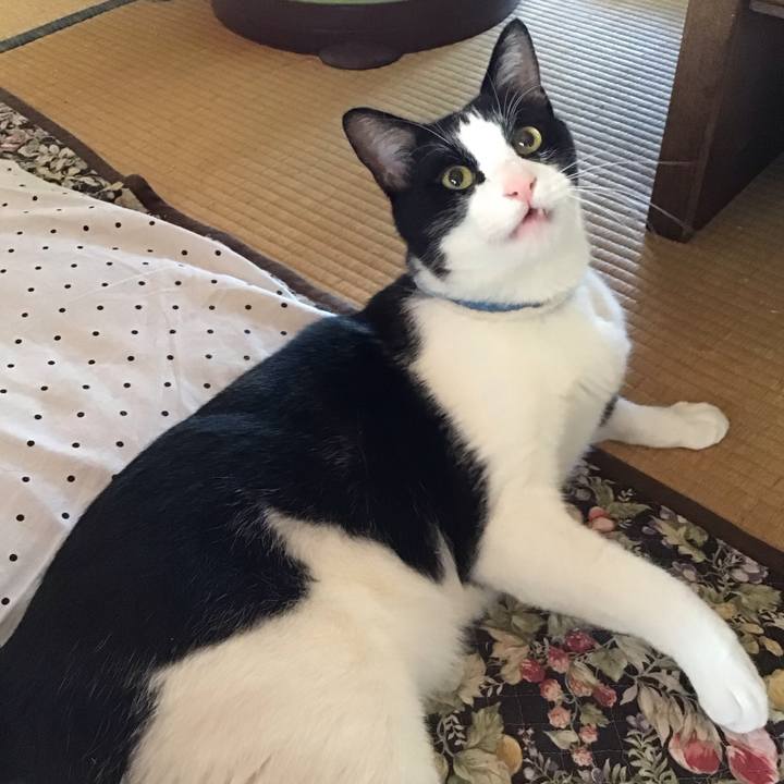 Ac23781e 9442 4ff3 aee7 8eb3815c1429 1683863600215