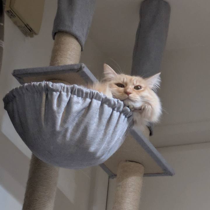 Ac2388f7 3886 4be4 b8c1 875173f5e3a9 1737622315709