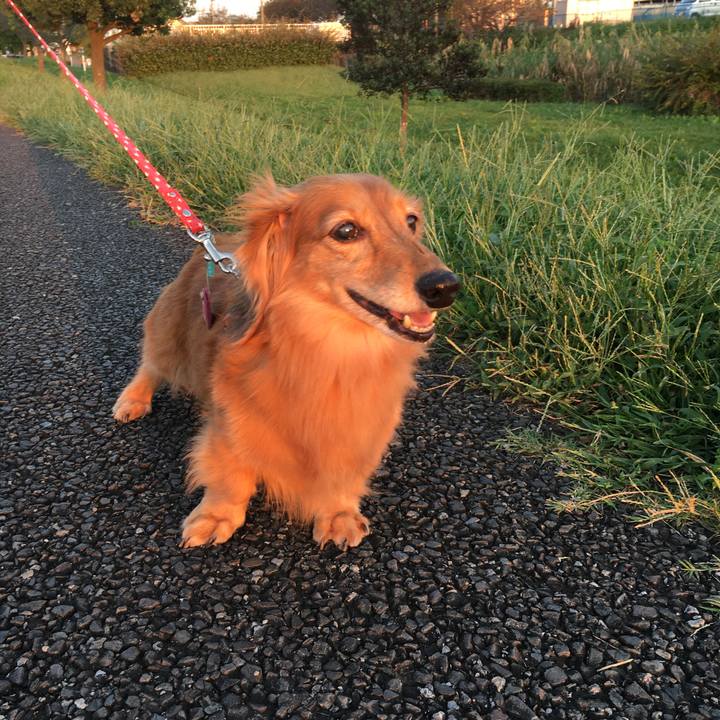 Ac238c4d f467 4ce0 8d47 f1e522e34862 1600773932542