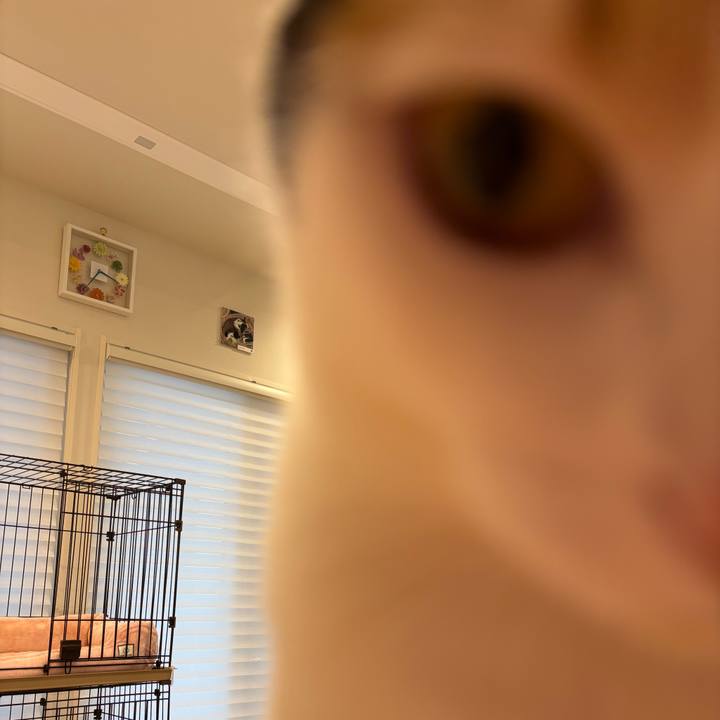 Ac239cf2 b92c 4393 a13f 17e37c2bbe32 1773815797157