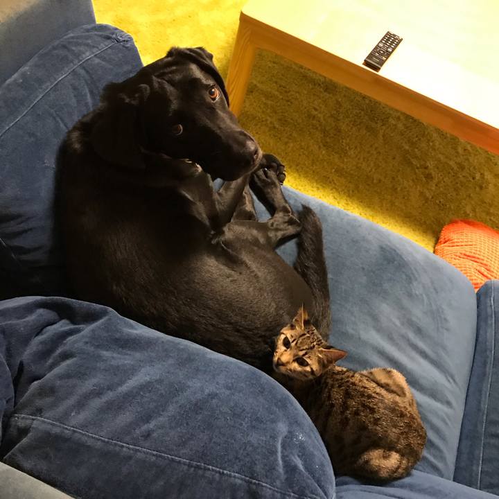 Ac239f16 0943 4cdd b988 6b4f4462bdd9 1573297695253