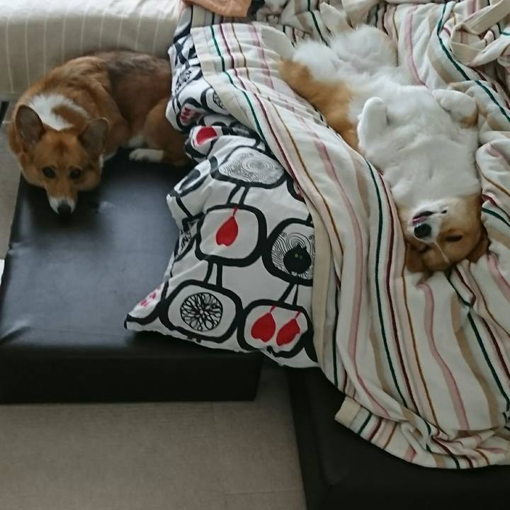 Ac23a114 691e 4cb2 868d d59024845324 1527235069784