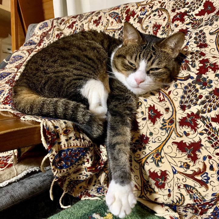 Ac23a995 5eb7 4d6b 8406 c37e7b9a06e0 1600775845334