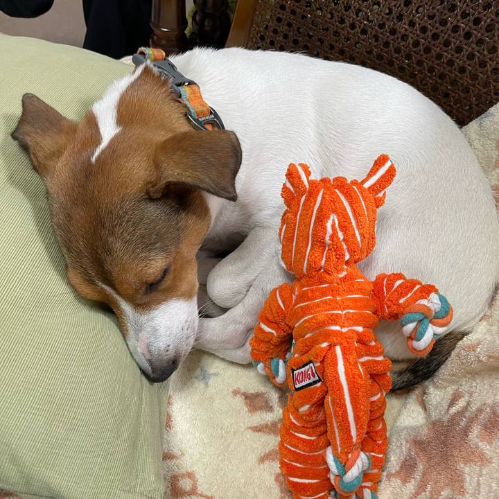 Ac23be04 d00b 41b4 8148 91410f6c5827 1696748889769