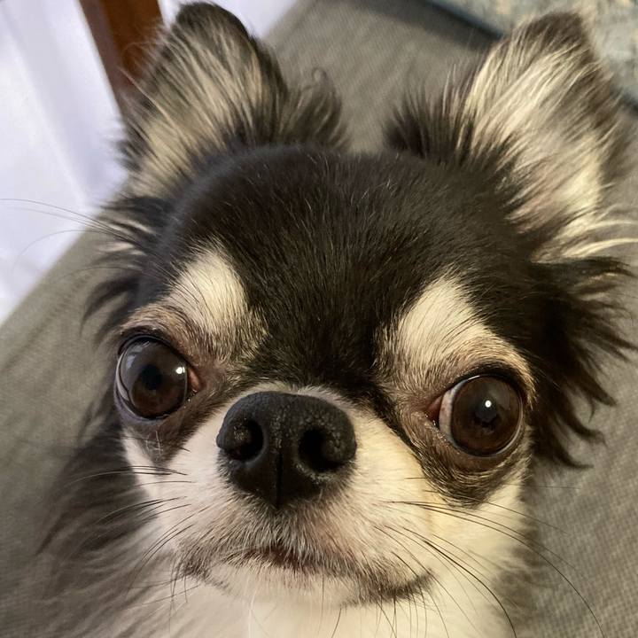 Ac23c221 1e19 487a b04c 408af11fb2fa 1633731520529