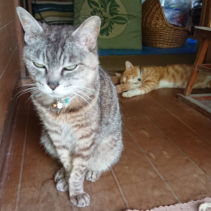 Ac23c6b8 ea61 4e3b bf29 54442c501ff5 1564646351802