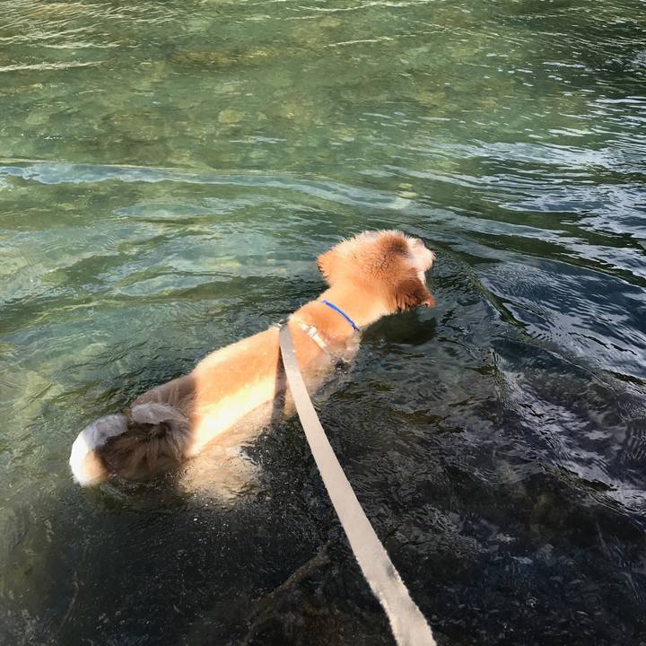 Ac23e620 e094 4783 a8b8 3d50414f2465 1597195593203