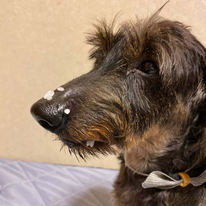 Ac23f5ff 33cf 4de9 8690 9f34da34dc70 1569857295942