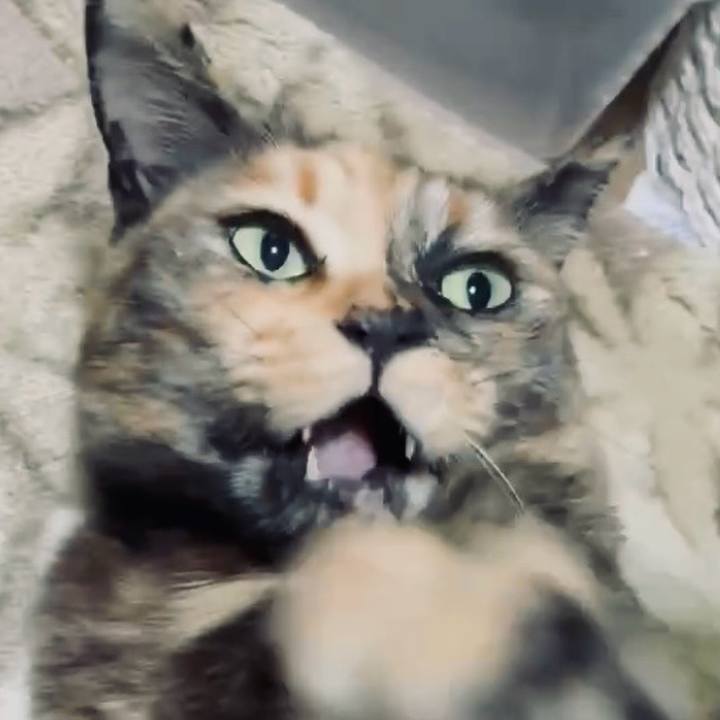 Ac241ee1 7882 4730 90e8 6f7fa1610c2d 1744450411186